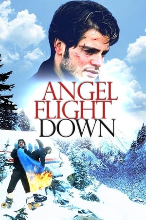 Angel Flight Down watch Angel Flight Down