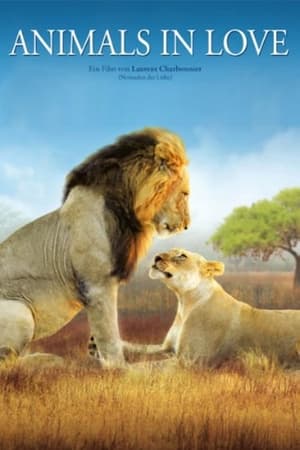 Animals in Love watch Animals in Love