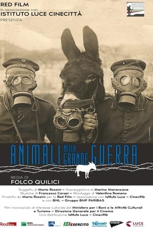 Animals in the Great War watch Animals in the Great War