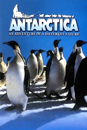 Antarctica: An Adventure of a Different Nature watch Antarctica: An Adventure of a Different Nature