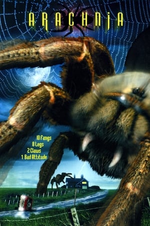 Arachnia watch Arachnia