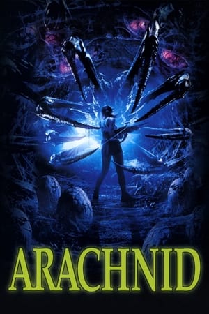 Arachnid watch Arachnid