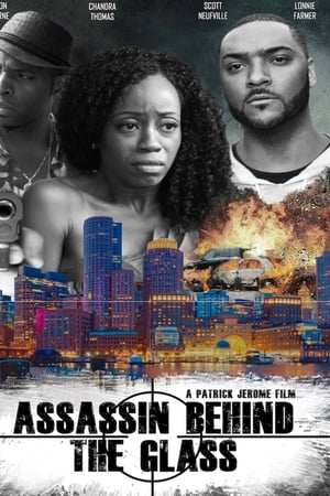 watch Assassin Behind the Glass