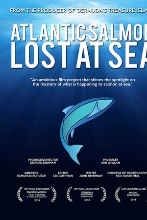 Atlantic Salmon: Lost at Sea watch Atlantic Salmon: Lost at Sea