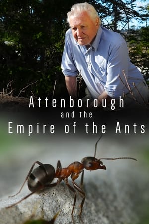 watch Attenborough and the Empire of the Ants