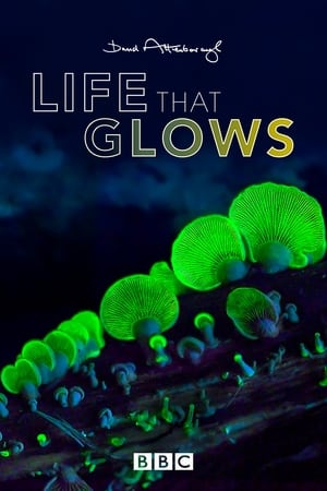 Attenborough's Life That Glows watch Attenborough's Life That Glows