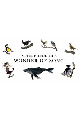 Attenborough's Wonder of Song watch Attenborough's Wonder of Song