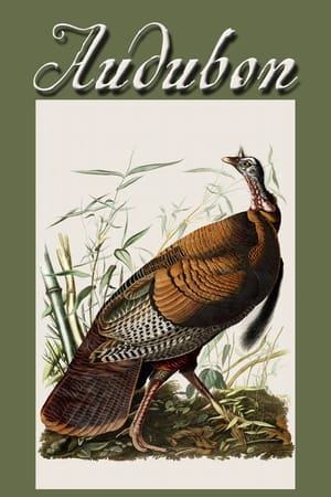 watch Audubon