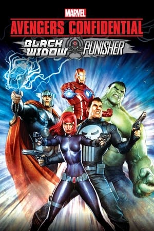 Avengers Confidential: Black Widow & Punisher watch Avengers Confidential: Black Widow & Punisher
