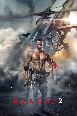 Baaghi 2 watch Baaghi 2