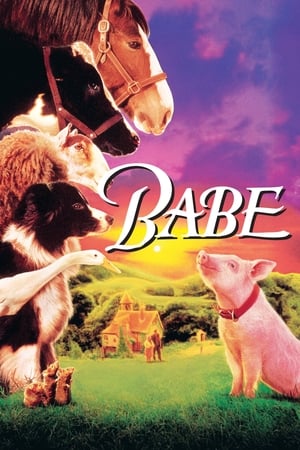 Babe watch Babe