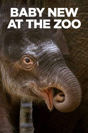 Baby New at the Zoo watch Baby New at the Zoo