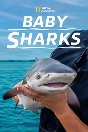 Baby Sharks watch Baby Sharks