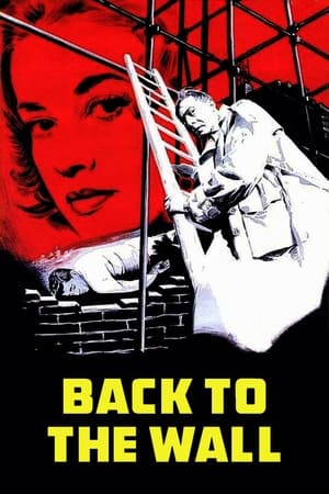 watch Back to the Wall