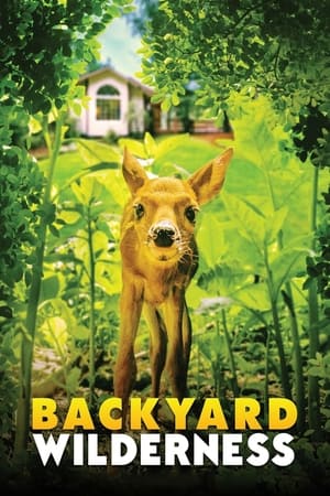 Backyard Wilderness watch Backyard Wilderness