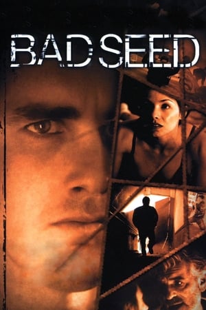 Bad Seed watch Bad Seed