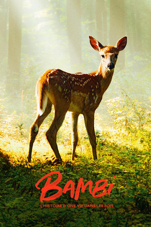 Bambi: A Life in the Woods watch Bambi: A Life in the Woods