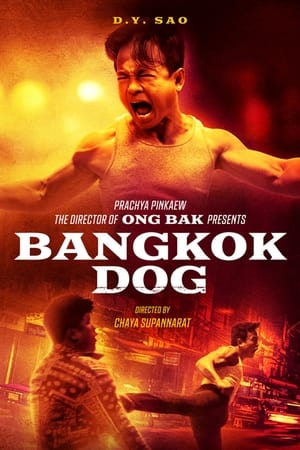 Bangkok Dog watch Bangkok Dog