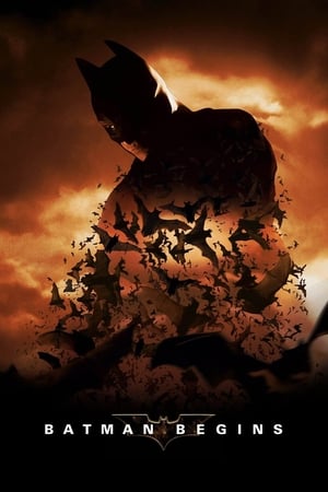 Batman Begins watch Batman Begins