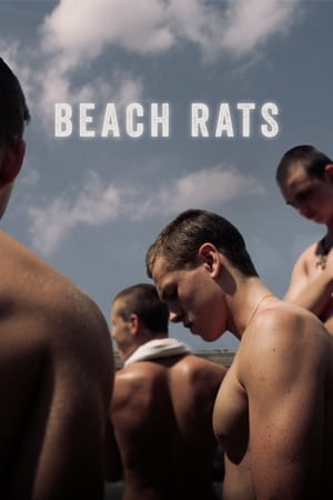 Beach Rats watch Beach Rats