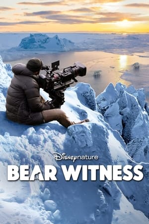 Bear Witness watch Bear Witness