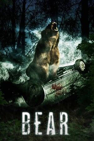 Bear watch Bear
