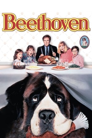 Beethoven watch Beethoven