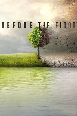 Before the Flood watch Before the Flood
