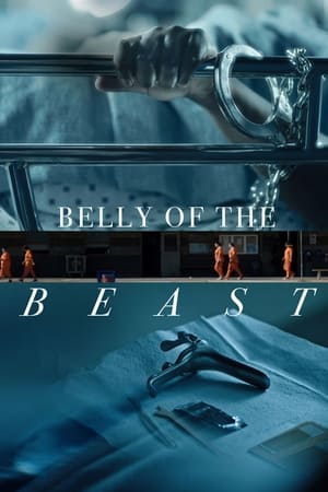 Belly of the Beast watch Belly of the Beast