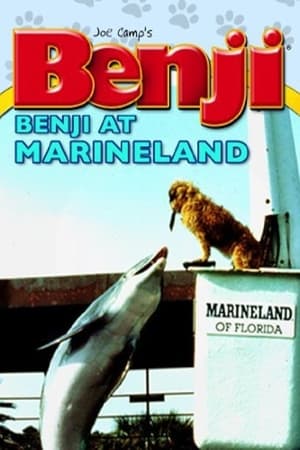Benji at Marineland watch Benji at Marineland