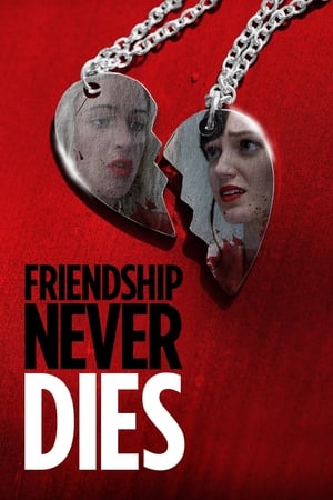 watch Best Friends Forever