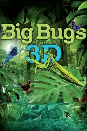 watch Big Bugs
