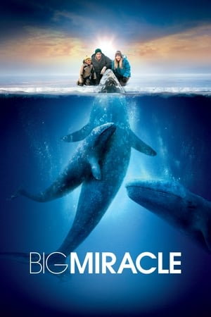 Big Miracle watch Big Miracle