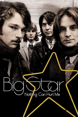 watch Big Star: Nothing Can Hurt Me