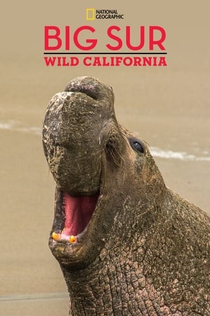 Big Sur-Wild California watch Big Sur-Wild California