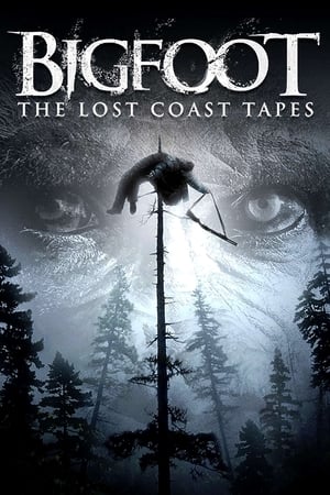 Bigfoot: The Lost Coast Tapes watch Bigfoot: The Lost Coast Tapes