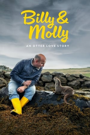 Billy & Molly: An Otter Love Story watch Billy & Molly: An Otter Love Story