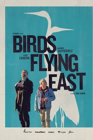 Birds Flying East watch Birds Flying East