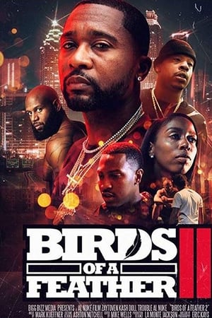 Birds of a Feather 2 watch Birds of a Feather 2