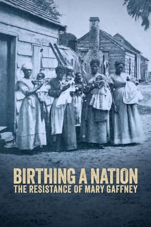 Birthing a Nation: The Resistance of Mary Gaffney watch Birthing a Nation: The Resistance of Mary Gaffney