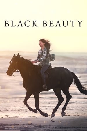 Black Beauty watch Black Beauty
