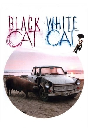Black Cat, White Cat watch Black Cat, White Cat