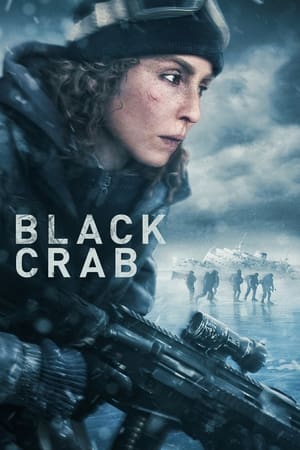 Black Crab watch Black Crab