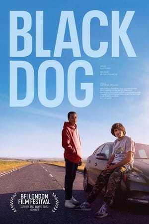 Black Dog watch Black Dog