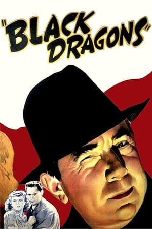 watch Black Dragons