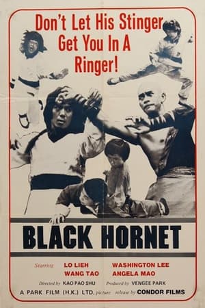 Black Hornet watch Black Hornet