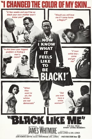 Black Like Me watch Black Like Me