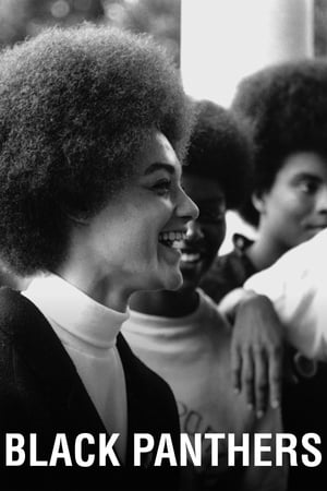 Black Panthers watch Black Panthers