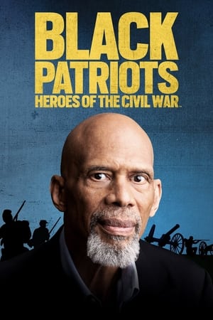 Black Patriots: Heroes of the Civil War watch Black Patriots: Heroes of the Civil War