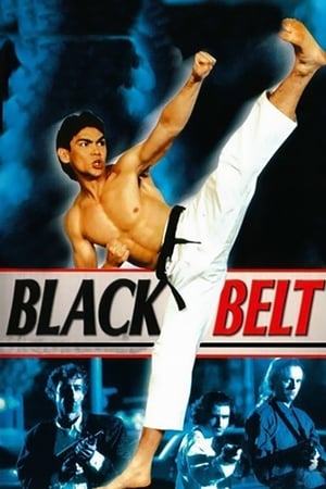 Blackbelt watch Blackbelt